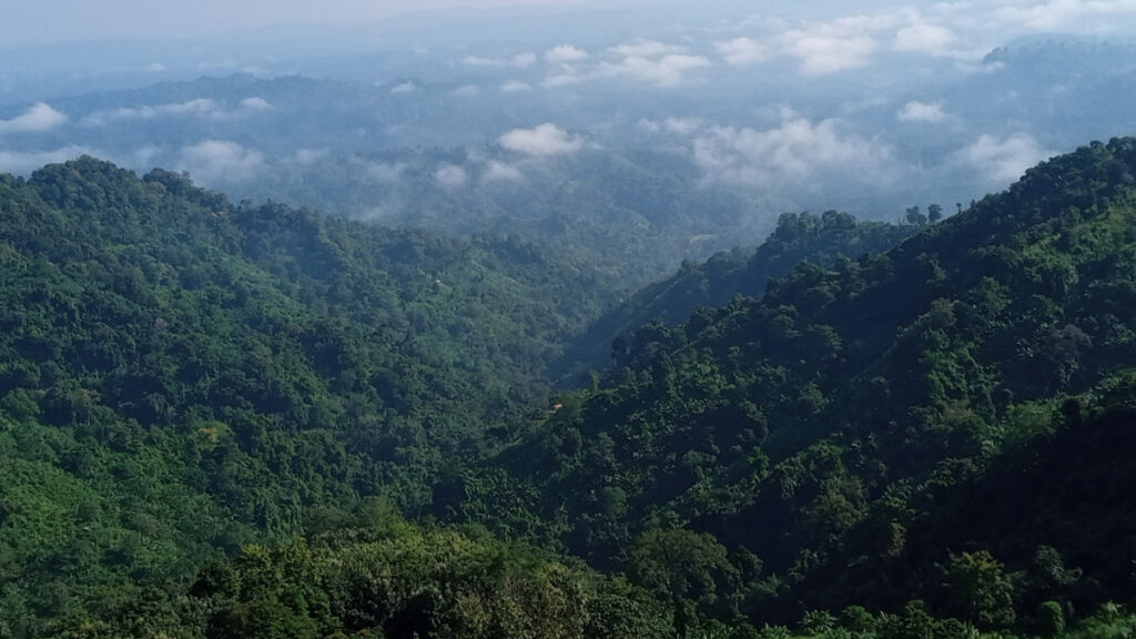 রুমায় সেনাবাহিনীর সঙ্গে বন্দুকযুদ্ধে কেএনএ’র ৩ সদস্য নিহত
