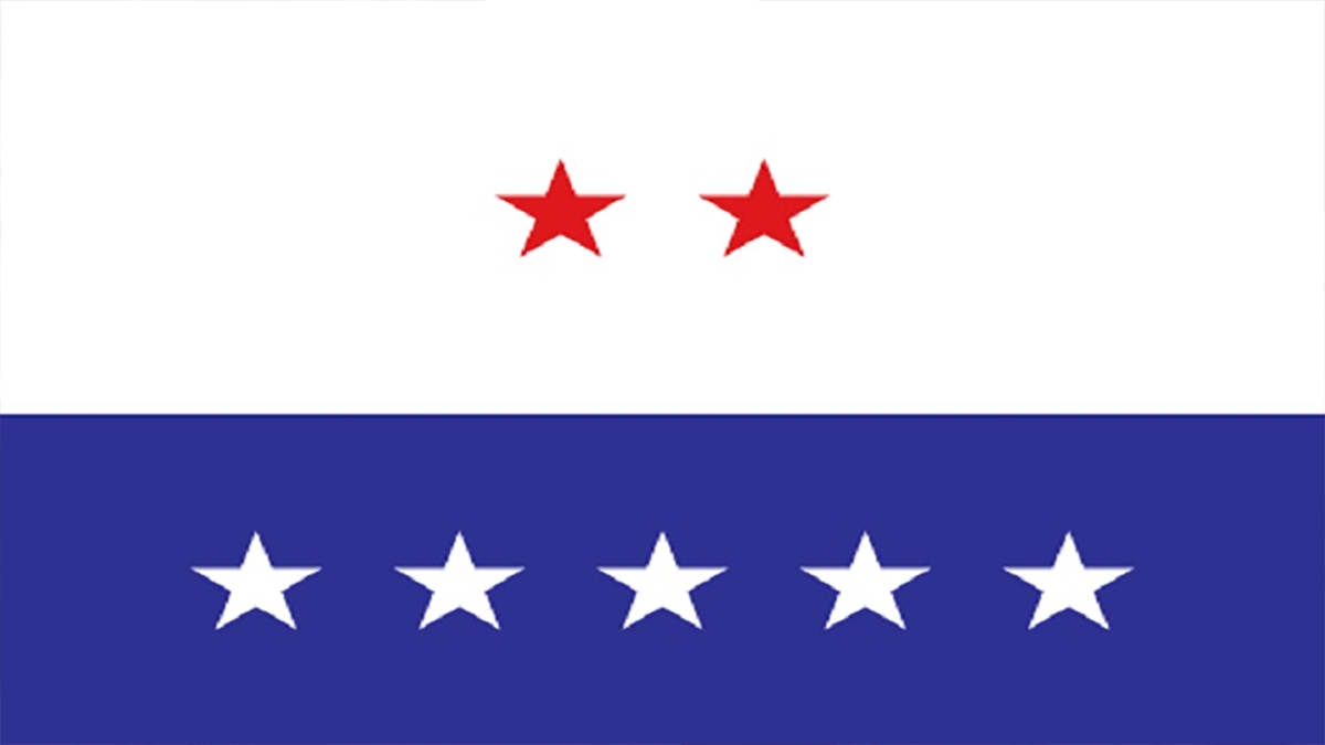 ছয়দিনের কর্মসূচি দিলো এলডিপিও