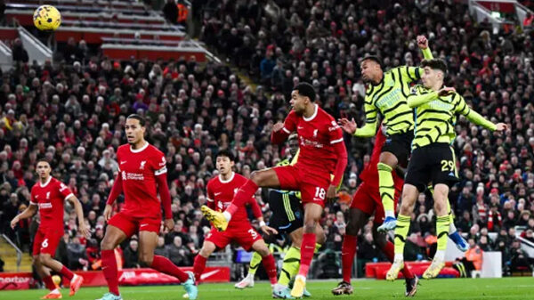 Liver 20231224084428