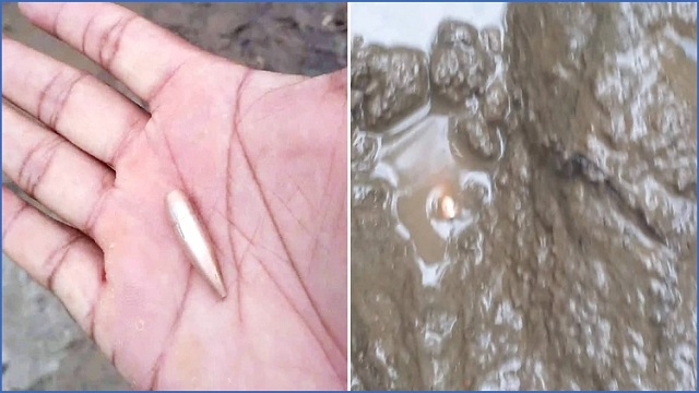 মিয়ানমার থেকে ছোড়া গুলি এসে পড়লো বাংলাদেশে