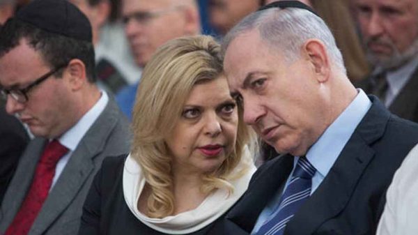 Neta 20250203 120659844