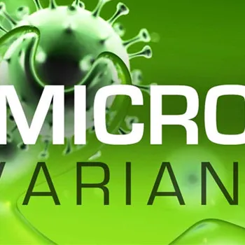 দেশে ওমিক্রনের সাব-ভ্যারিয়েন্ট শনাক্ত