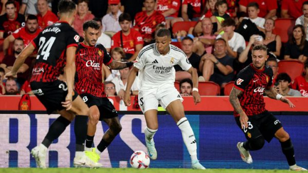 Realmalorca 2408190349