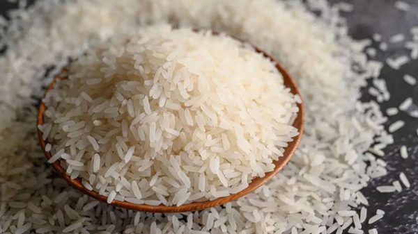 Rice
