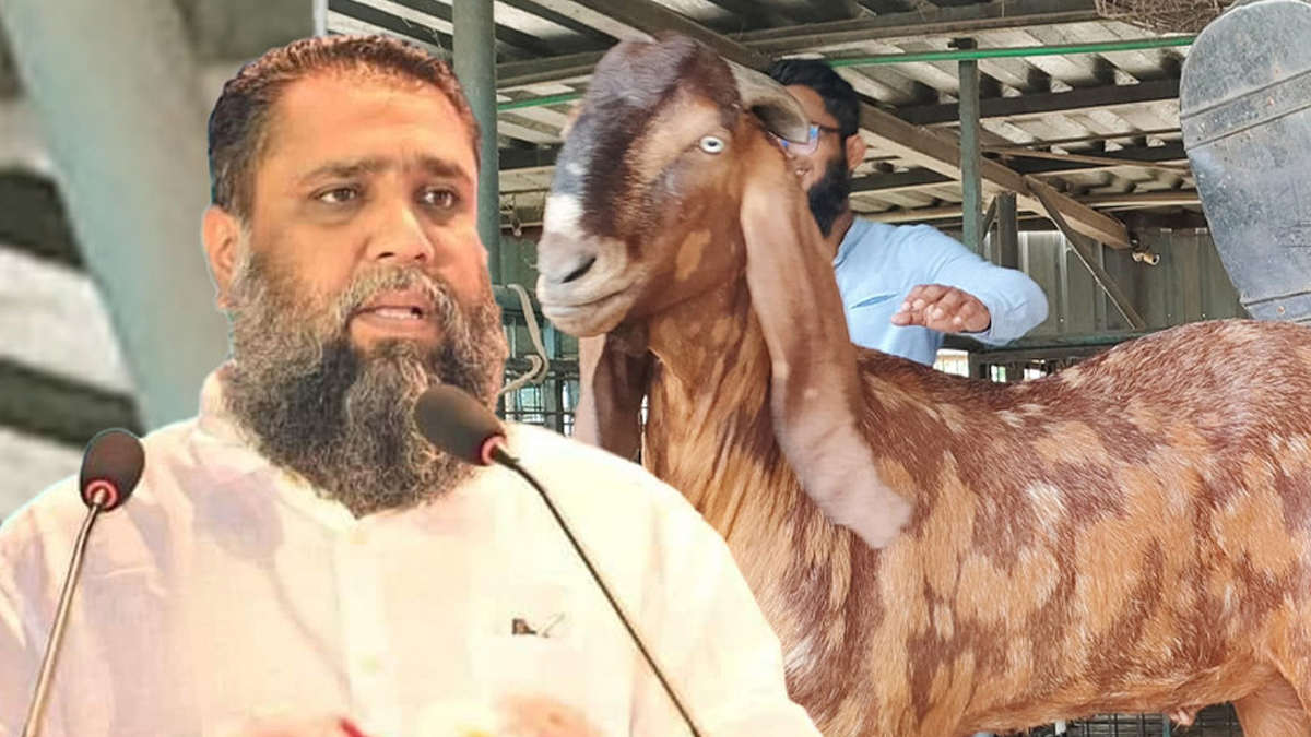 আলোচিত সাদিক অ্যাগ্রোর চেয়ারম্যান ইমরান গ্রেফতার