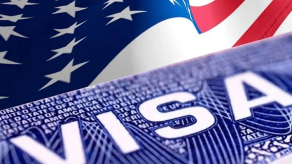 Top 2306190224 2503300807