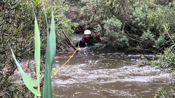 Untitled 1 20231227095645