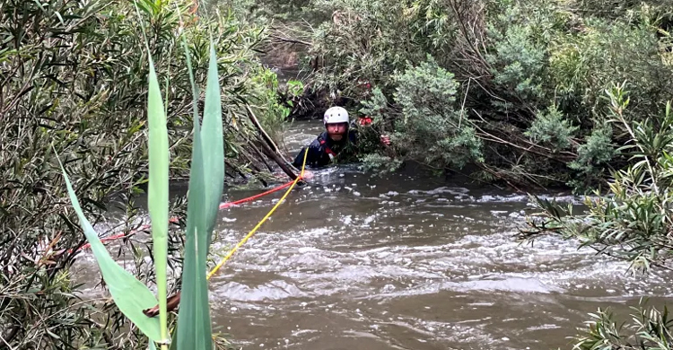 অস্ট্রেলিয়ায় ঝড়ের আঘাতে ৮ জনের মৃত্যু
