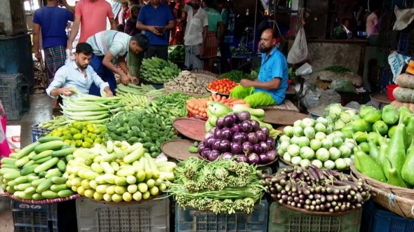 Vegetable 1024x576