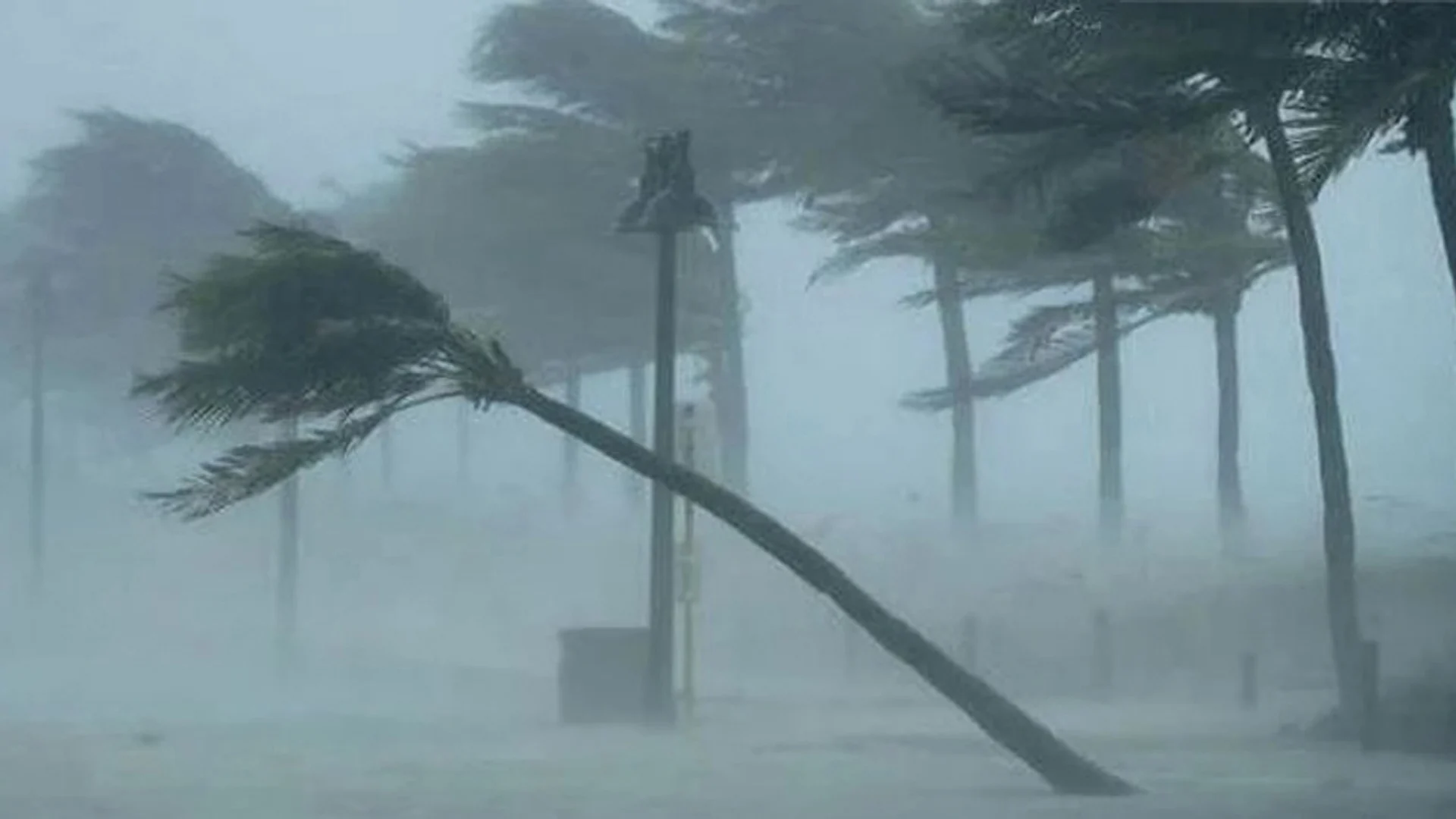 দুপুরের মধ্যে যেসব অঞ্চলে ঝড়বৃষ্টির আভাস