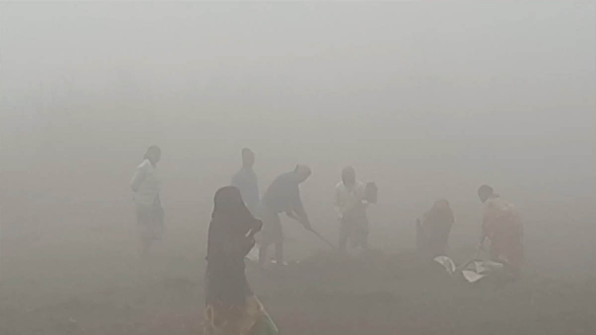 বিয়ের ছবি প্রকাশ করে যা বললেন মৌসুমী হামিদ