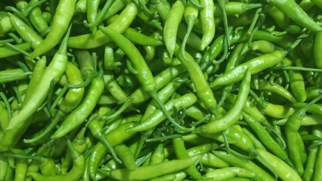কাঁচা মরিচের কেজি ৫০ টাকা