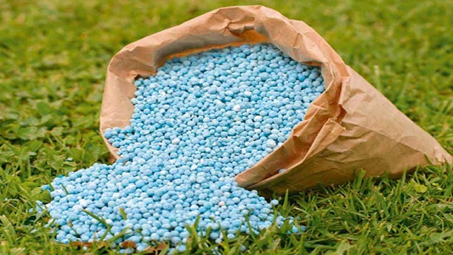 বাড়লো সারের দাম